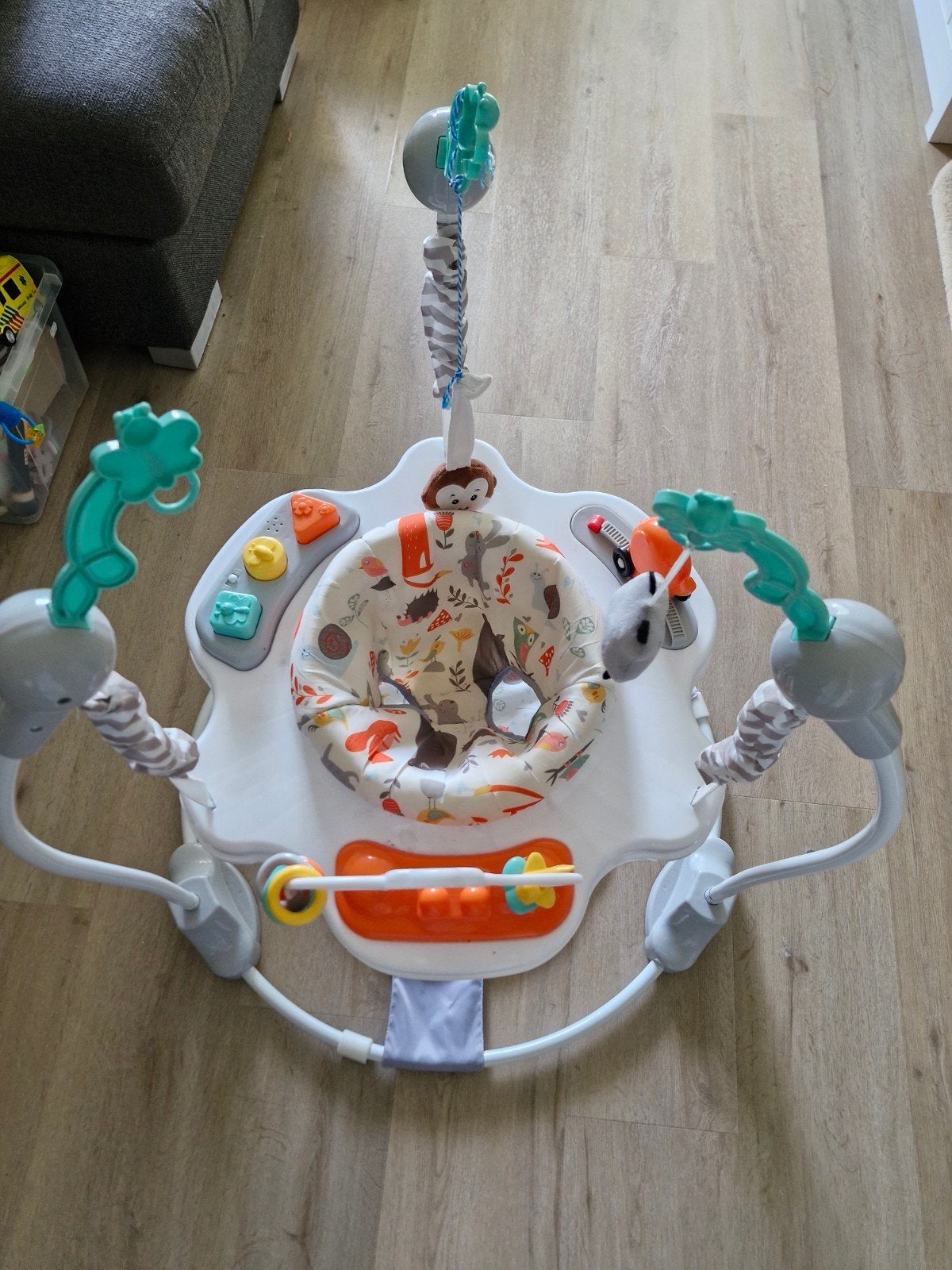 Bright Starts Jumperoo met geluid, Ophalen, Zo goed als nieuw, Overige typen, Met licht