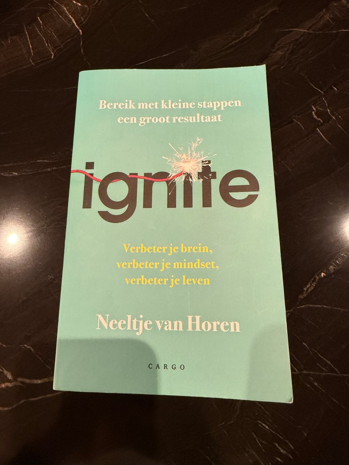 Neeltje van Horen - Ignite, Ophalen of Verzenden, Zo goed als nieuw