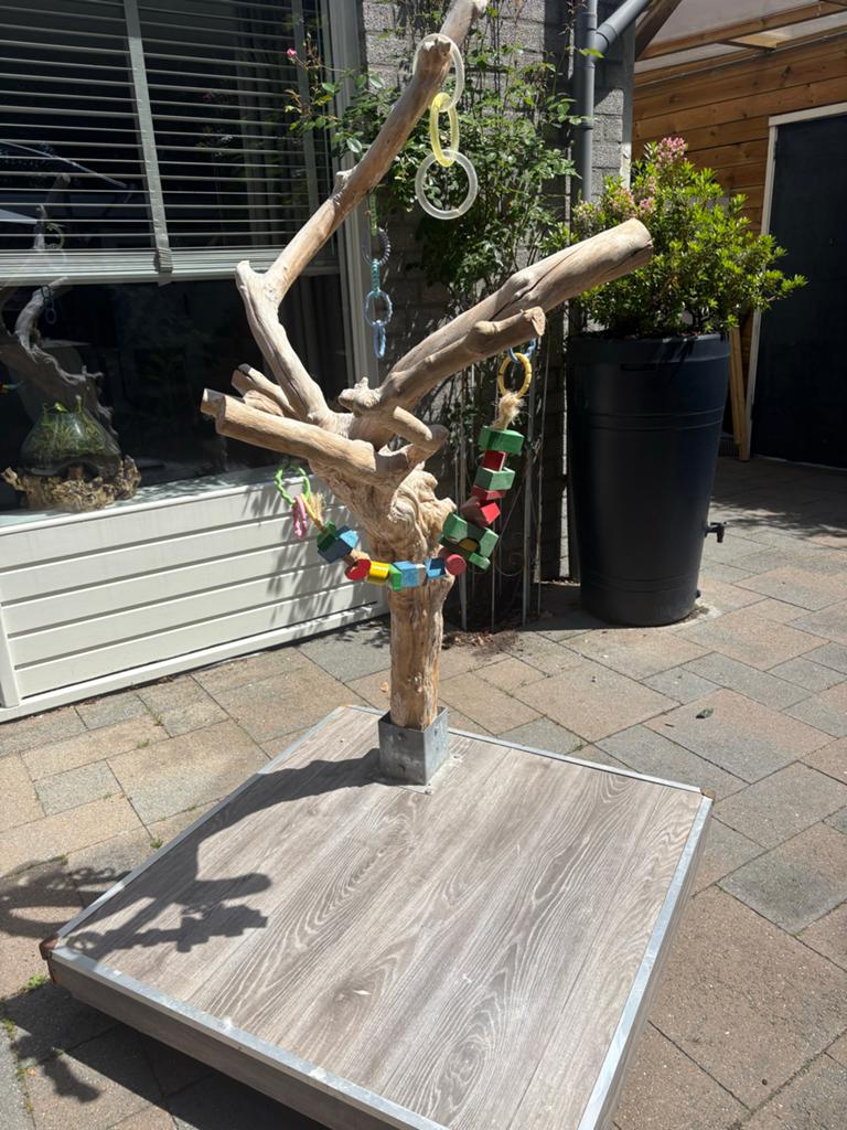 Papegaaien boom, Dieren en Toebehoren, Ophalen, Gebruikt, Kooi-accessoires