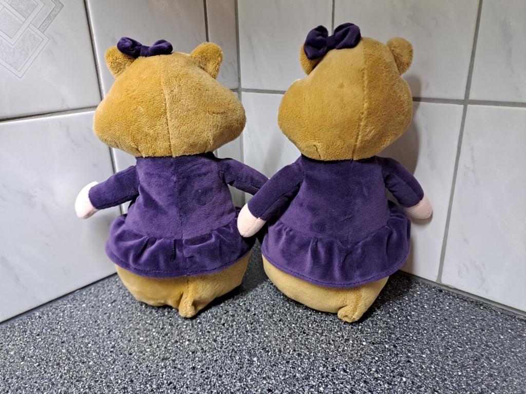 2 meisjes hamsters Albert Heijn, Albert Heijn, Ophalen of Verzenden, N.v.t, N.v.t