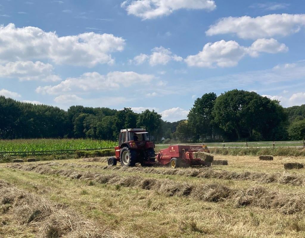 Hooi persen hooibaaltjes hooien, Dieren en Toebehoren, Dierenvoeding, Ophalen of Verzenden, Vee