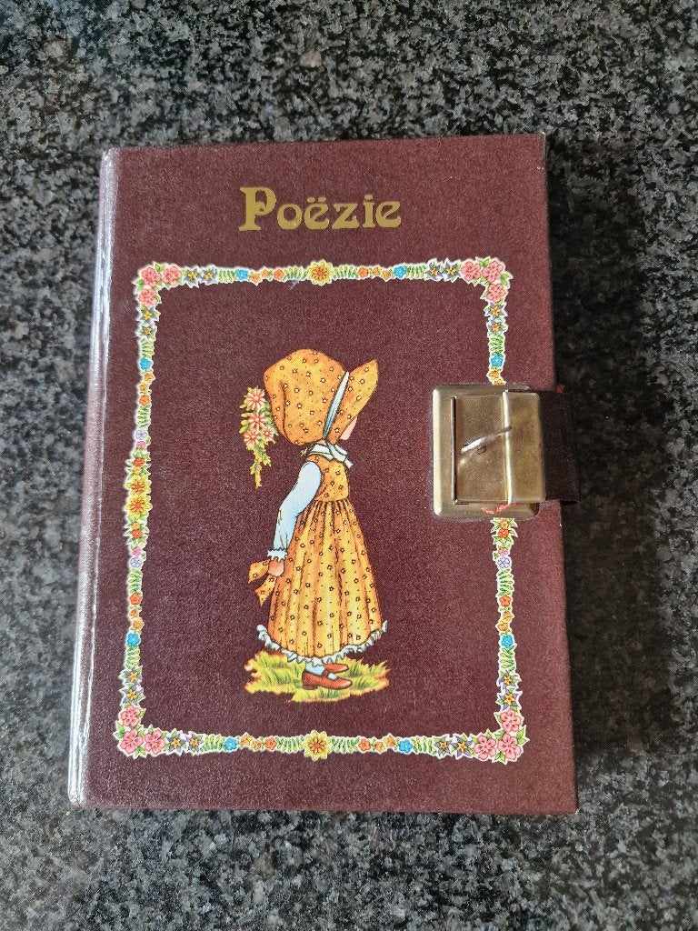 Dagboek, Ophalen of Verzenden, Zo goed als nieuw