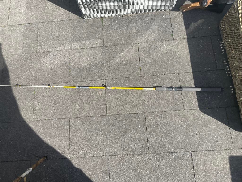 Vishengel zonder molen, Ophalen of Verzenden, Gebruikt, Werphengel