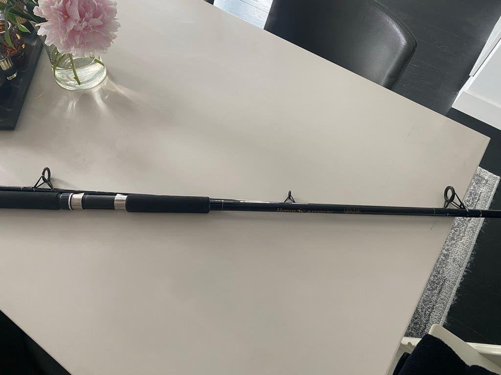 Heron Bass Surf Hengel 10ft/3.0m - Casting 1-3oz, Ophalen, Zo goed als nieuw, Werphengel