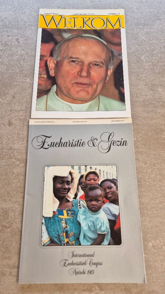 Boeken: katholieke informatie, Boeken, Ophalen of Verzenden, Christendom | Katholiek