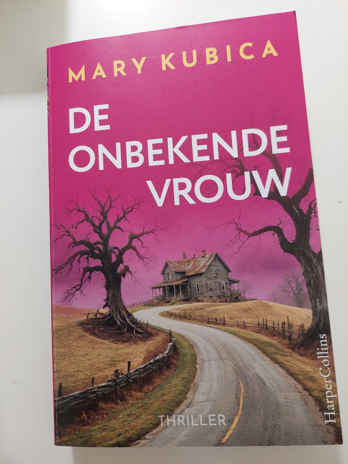 De onbekende vrouw van Mary Kubica, Boeken, Ophalen of Verzenden, Zo goed als nieuw