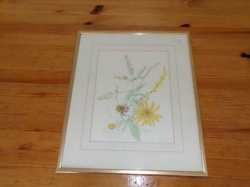 Tilly das '84 - bloementekening, Ophalen of Verzenden, Tekening, Achter glas