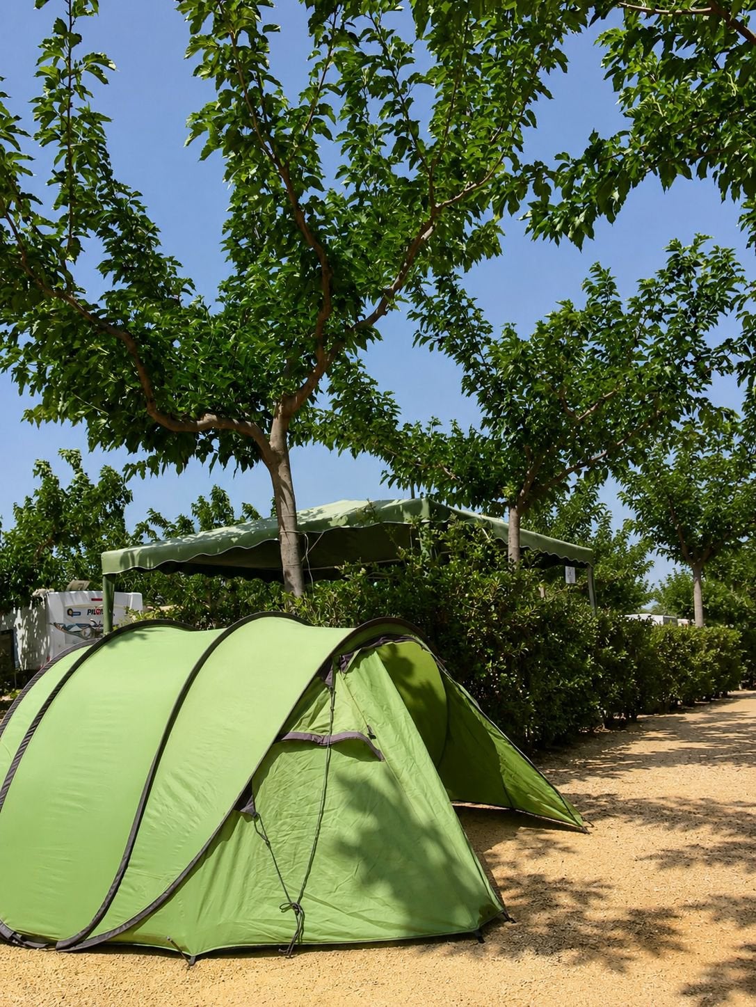 Wildebeast Base Camp Shinga L Green Tent, Ophalen, Gebruikt, Tot en met 3