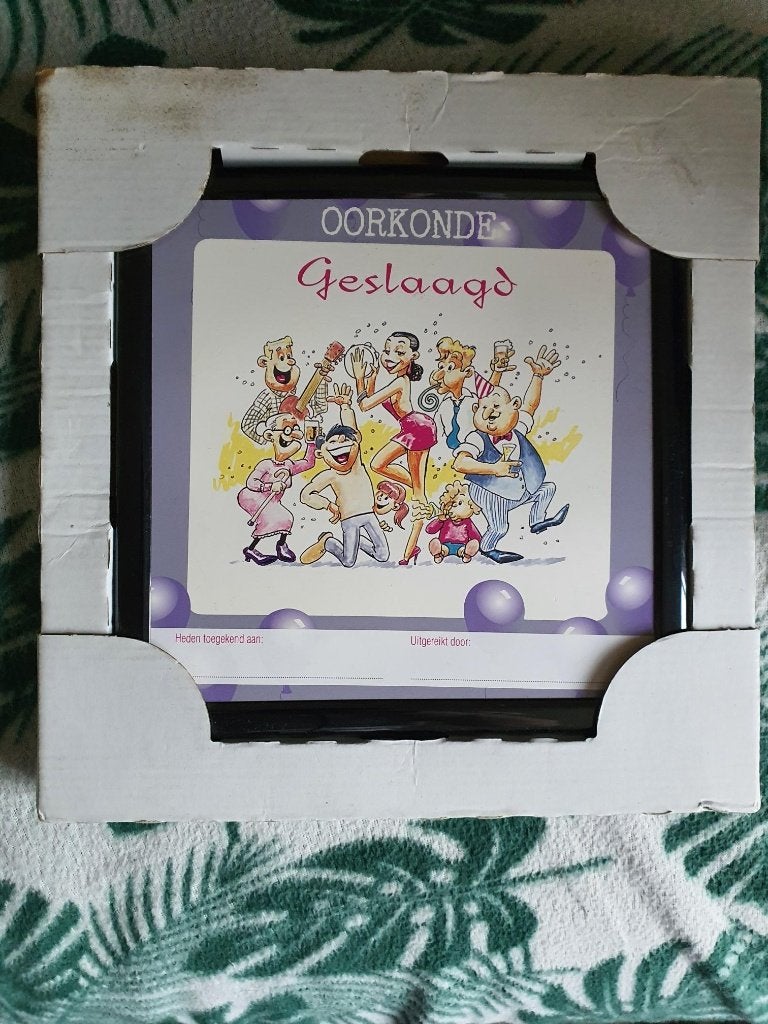Nieuwe oorkonde geslaagd en 2 slingers geslaagd voor 2 euro, Ophalen of Verzenden, Nieuw, Feestartikel, Overige