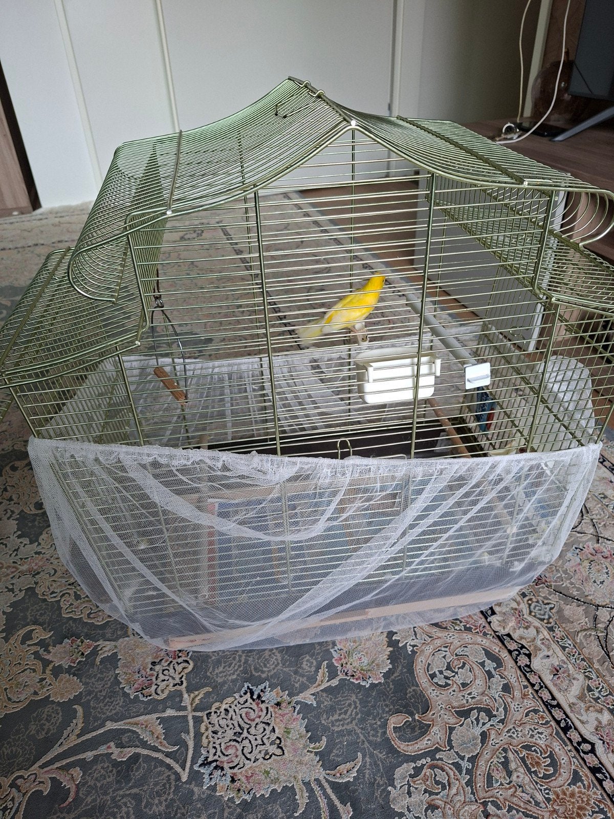 2x kanarie, Dieren en Toebehoren, Vogels | Hokken en Kooien, Ophalen, Zo goed als nieuw, Hout, Vogelkooi
