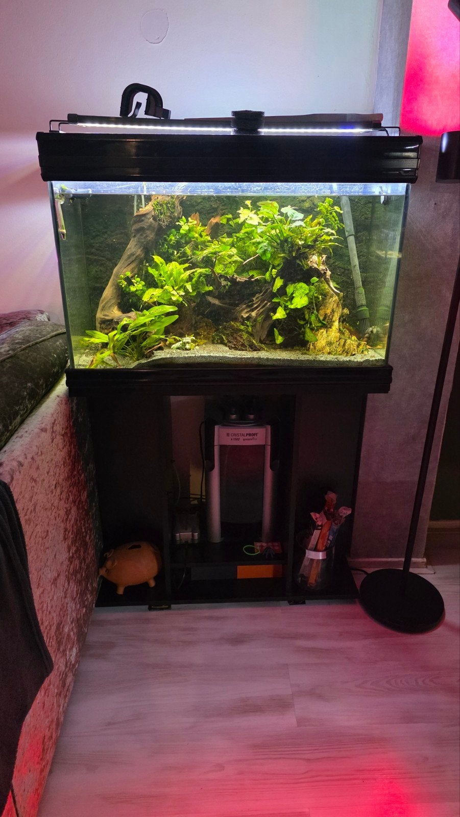 Compleet aquarium te koop, Ophalen