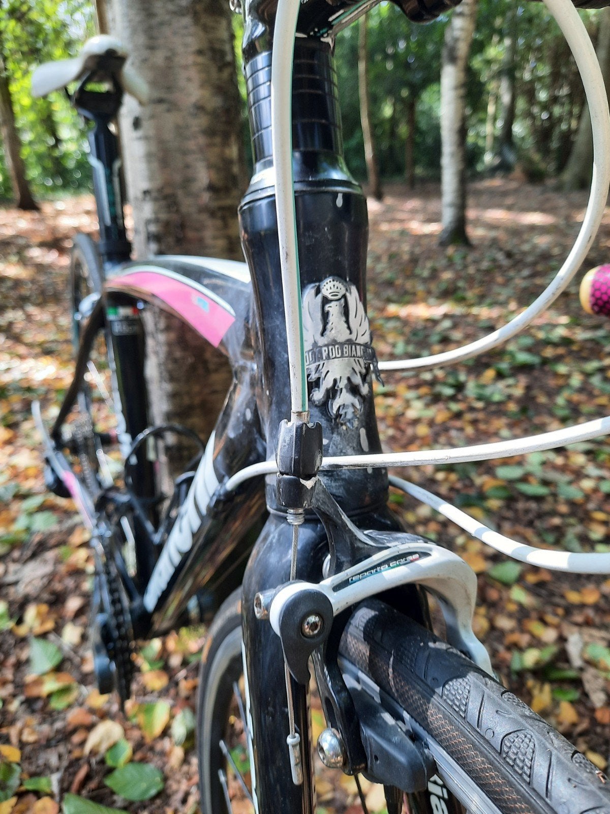 Bianchi Dama Bianca racefiets - 46cm frame, 28 inch, Gebruikt, Velgrem, Minder dan 47 cm
