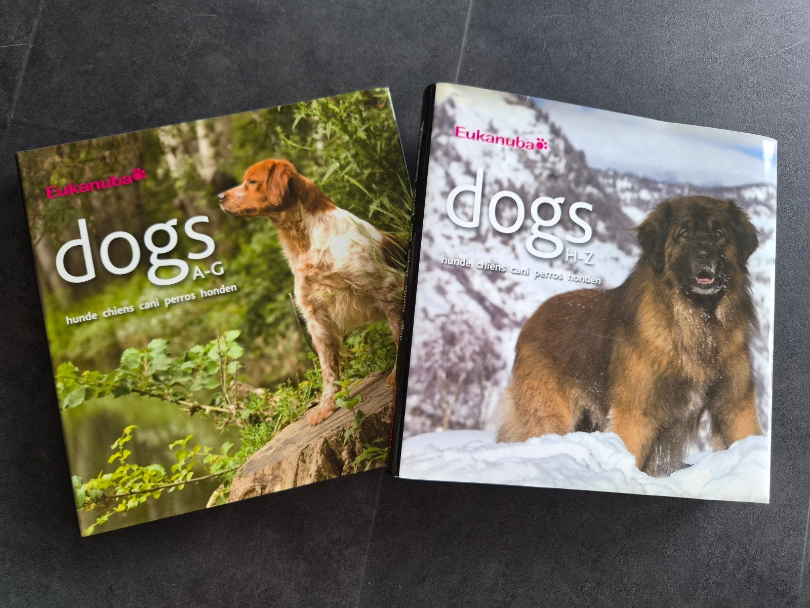 Eukanuba Dogs A-G en H-Z Boeken, Ophalen of Verzenden, Zo goed als nieuw, Honden