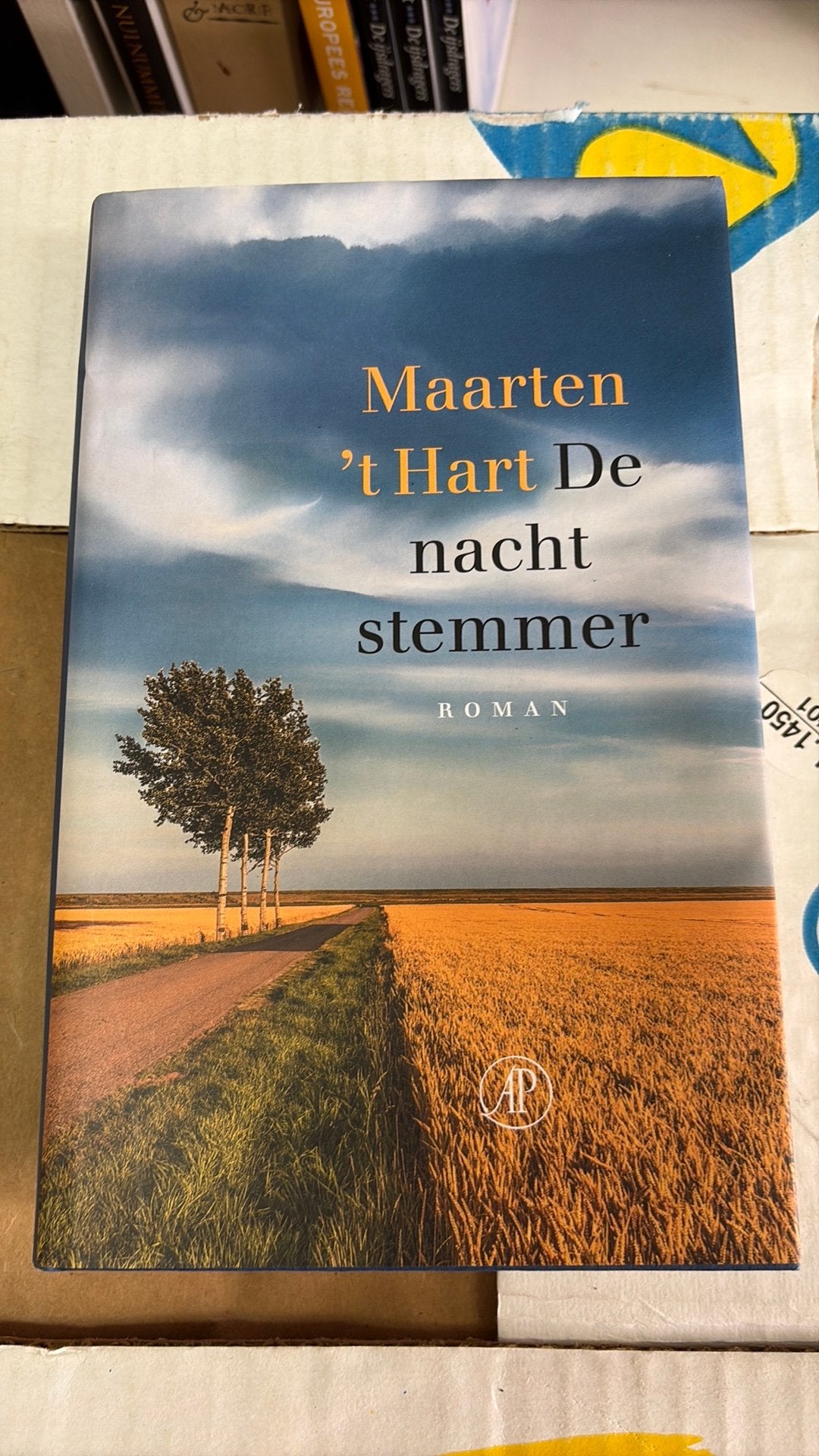 Maarten 't Hart - De nachtstemmer, Ophalen of Verzenden, Zo goed als nieuw, Maarten 't Hart
