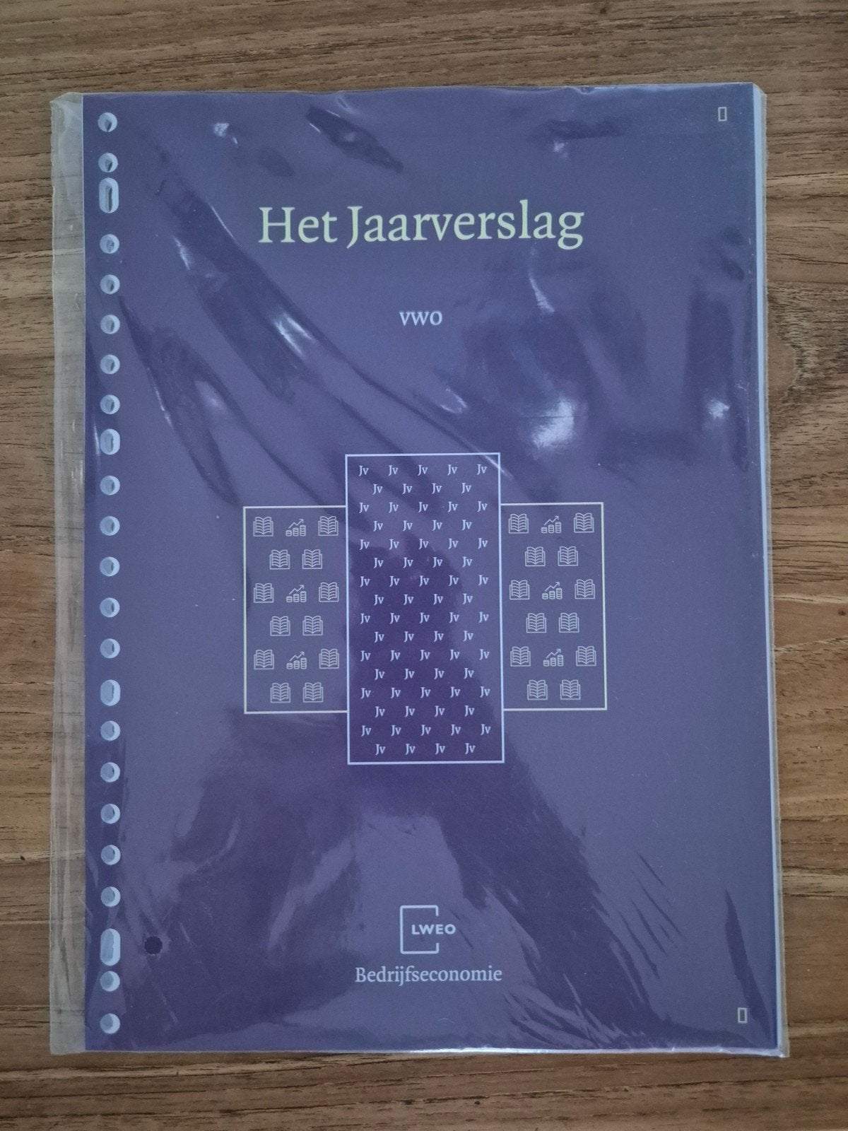 Het Jaarverslag vwo - Bedrijfseconomie LWEO, Boeken, Ophalen of Verzenden, Zo goed als nieuw, Gamma, LWEO