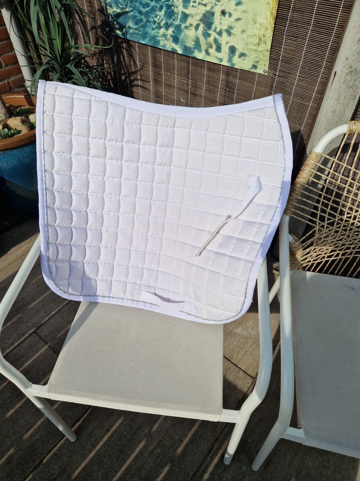 wedstrijd dek/ dressuur NIEUW, Ophalen of Verzenden