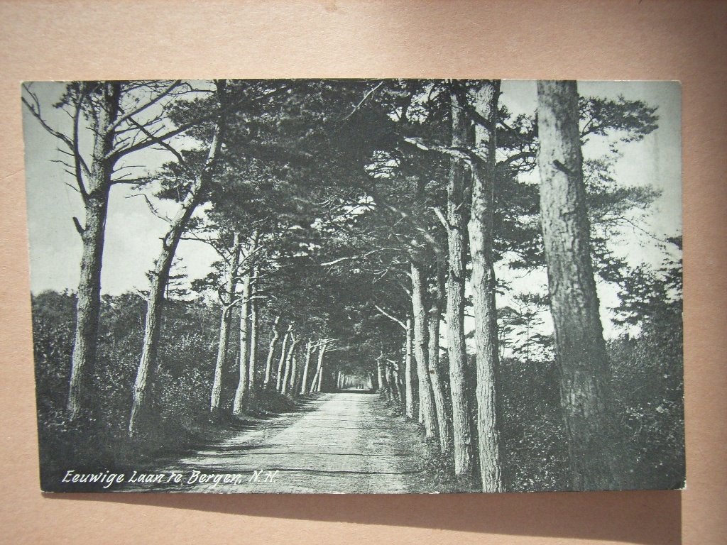 Ansichtkaart Eeuwige Laan te Bergen NH, Verzamelen, Ophalen of Verzenden, 1940 tot 1960, Noord-Holland
