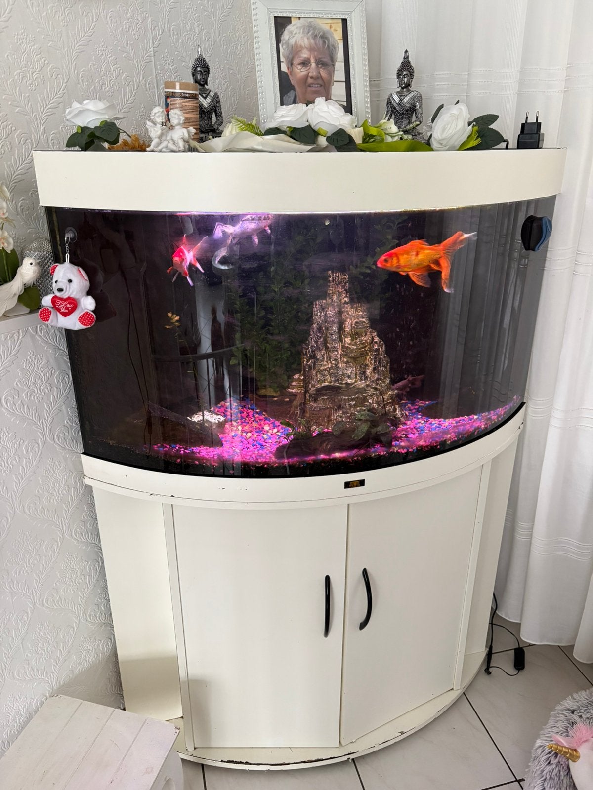 Aquarium, Dieren en Toebehoren, Ophalen, Inclusief toebehoren, Gebruikt, Overige typen