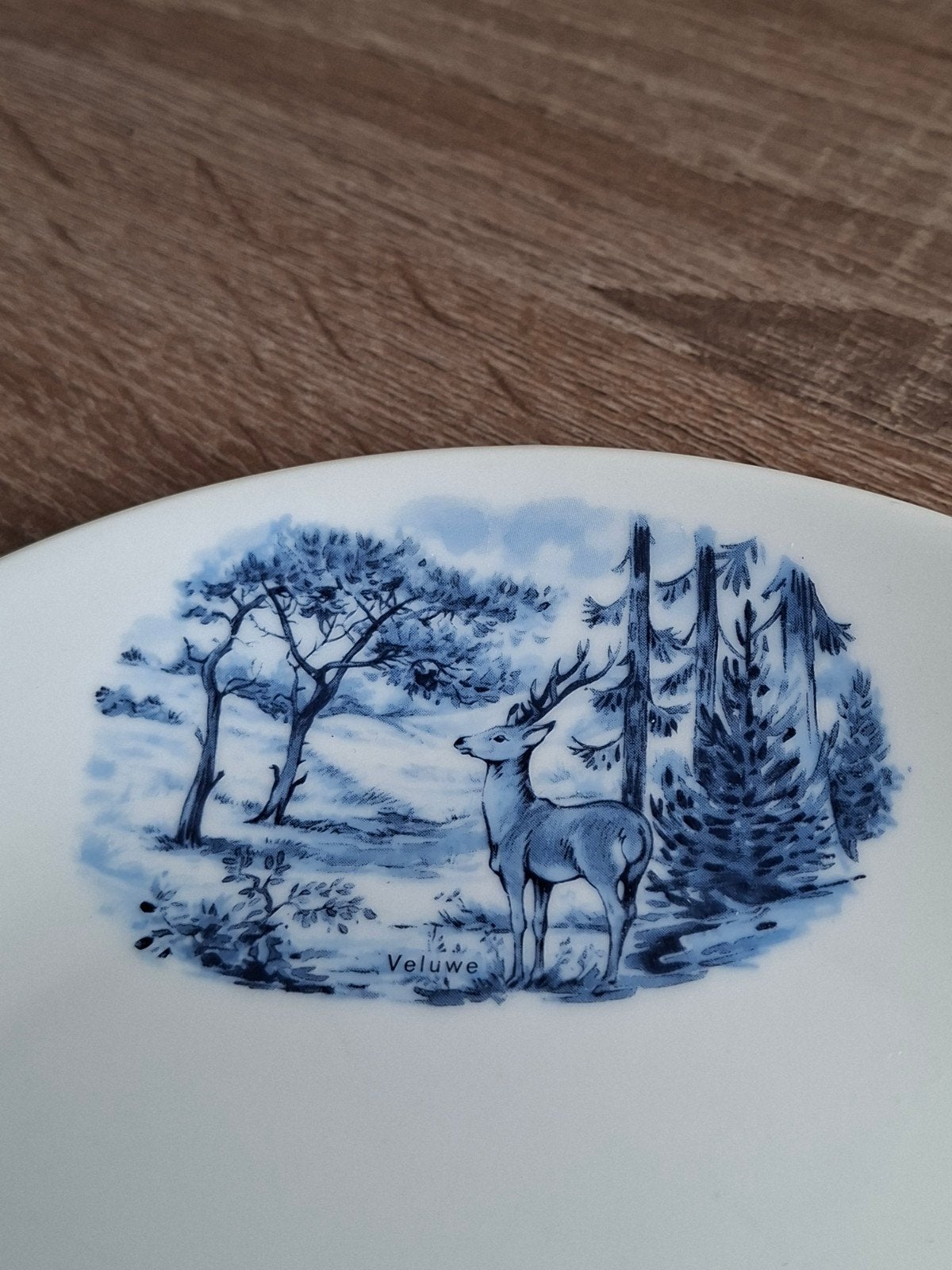 Set van 6 Seltmann Weiden Bavaria bordjes met decor, Antiek en Kunst, Ophalen of Verzenden