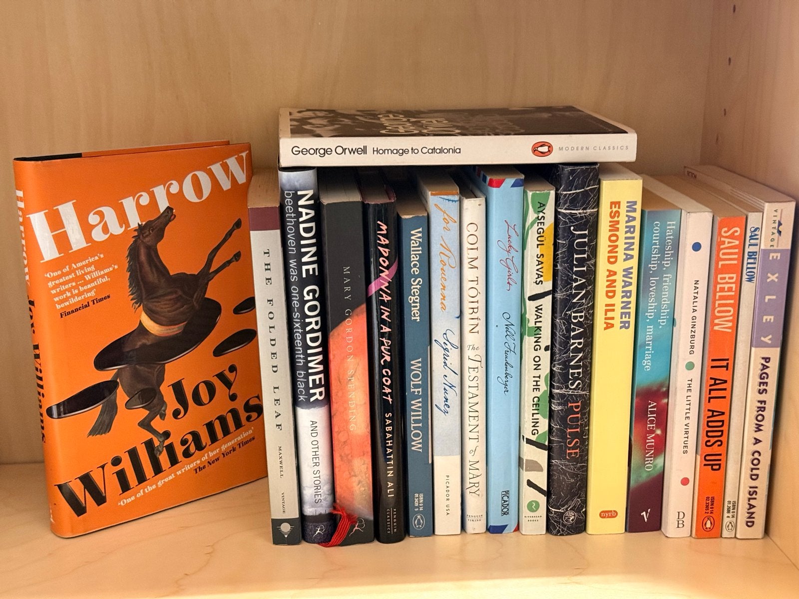 Partij van 18 Engelse boeken - diverse genres en auteurs, Ophalen of Verzenden, Gelezen, Europa overig