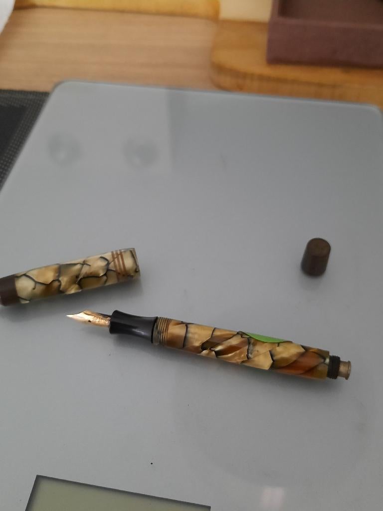 Champion vulpen, Ophalen of Verzenden, Gebruikt, Vulpen, Overige merken
