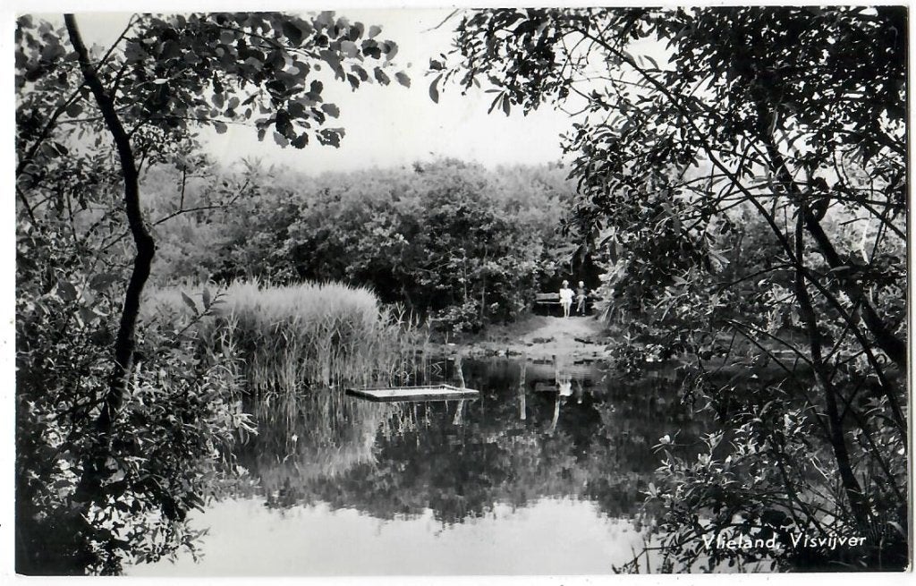 Vlieland - Visvijver, Verzamelen, Verzenden, 1940 tot 1960, Gelopen, Waddeneilanden