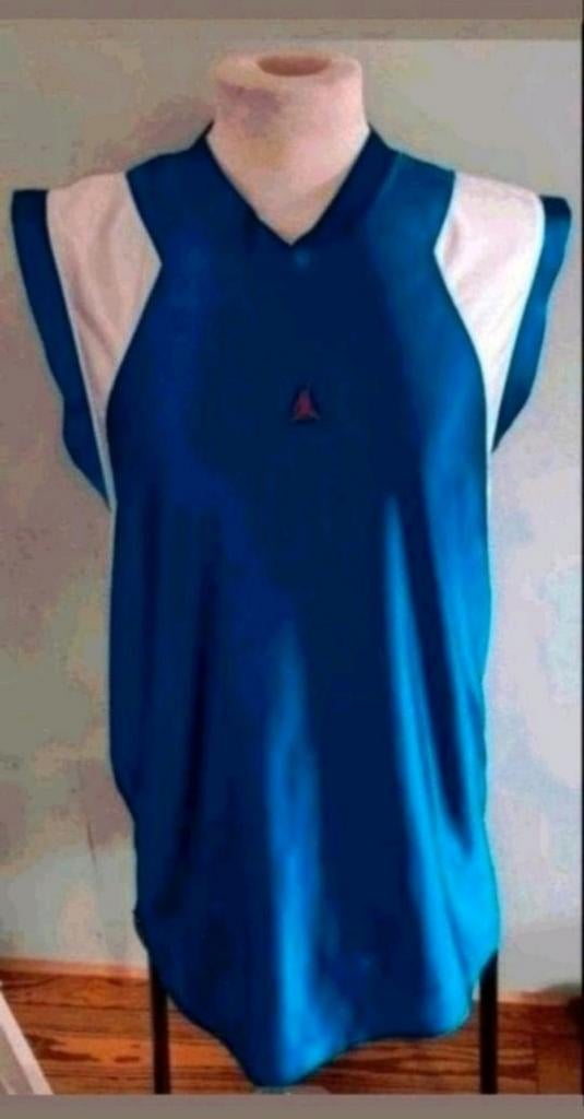 Jordan blauw t-shirt, Kleding | Heren, T-shirts, Ophalen of Verzenden, Zo goed als nieuw, Jordan, Maat 48/50 (M)