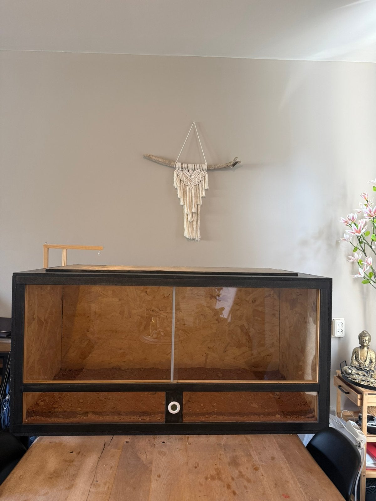 Terrarium nog geen 1 jaar oud! 120x60x60., Ophalen, Zo goed als nieuw, Terrarium of Paludarium