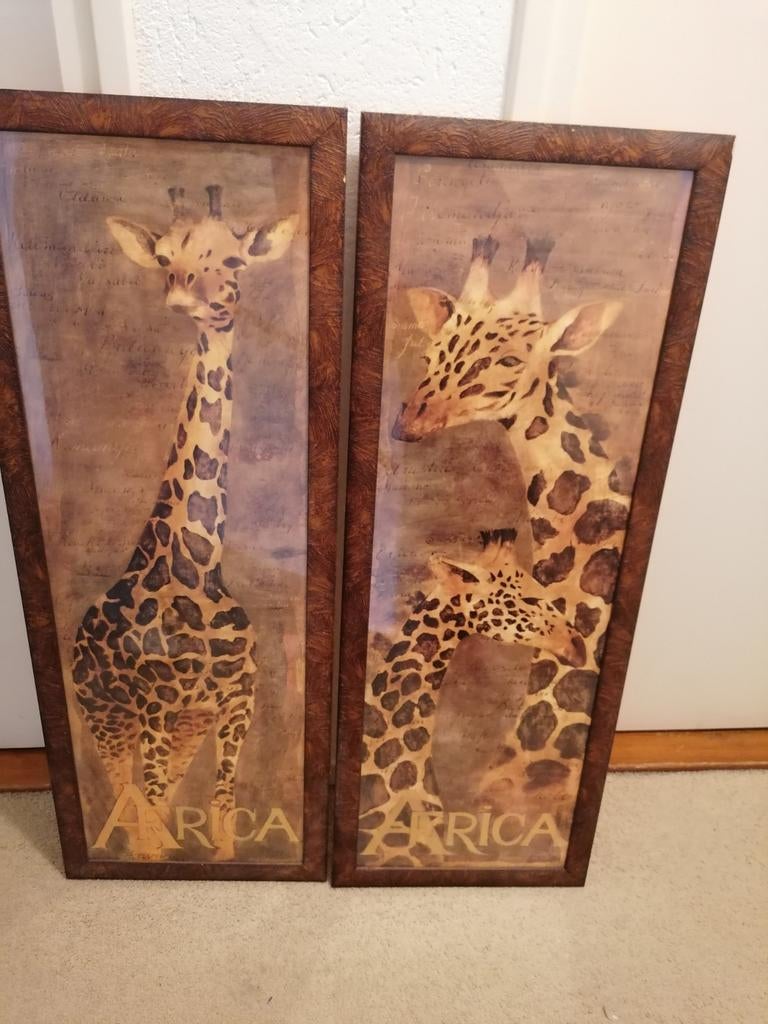2 mooie schilderijen met giraffe, Ophalen, Zo goed als nieuw