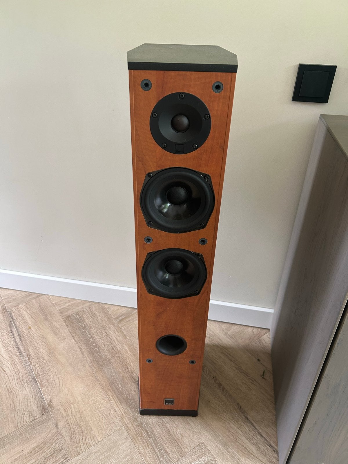 2 stuks Dali Suite 1.5 staande Luidsprekers, Audio, Tv en Foto, Luidsprekers, Gebruikt, Vloerstaande luidspreker, 150 watt of meer