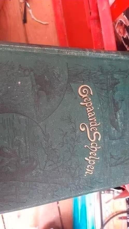 Geparelde Schelpen - Klassiek Boek, Ophalen of Verzenden, Gelezen, Onbekend, Nederland