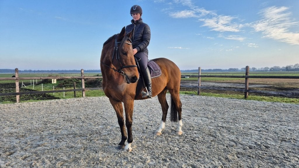 Veelzijdig leuk project paard te koop, Dieren en Toebehoren, Paarden, Gechipt, Ruin, 7 tot 10 jaar, 160 tot 165 cm
