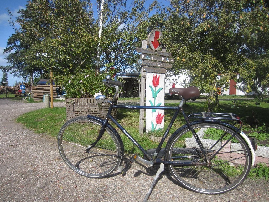 Gazelle Primeur Stadsfiets, Studentenfiets, Stationsfiets, Ophalen, Terugtraprem, Gebruikt, Koninklijke Gazelle N.V.