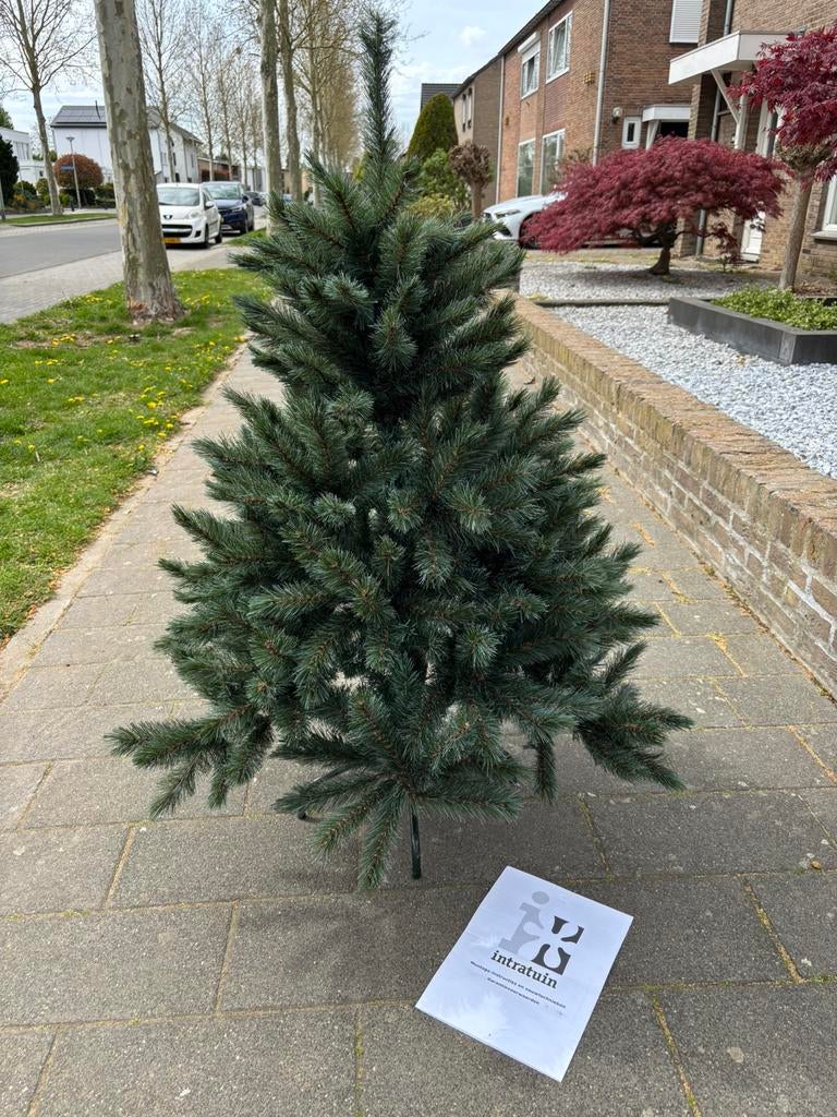 Kerstboom romagne intratuin, Diversen, Kerst, Ophalen, Zo goed als nieuw