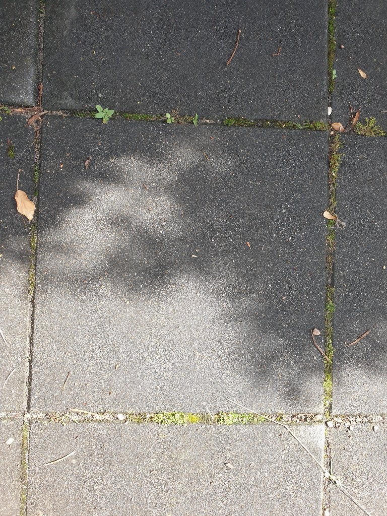 Tuintegels antraciet, Ophalen, Gebruikt, 5 tot 10 m², Beton