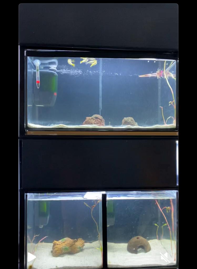 Aquarium steling, Ophalen, Zo goed als nieuw, Leeg aquarium