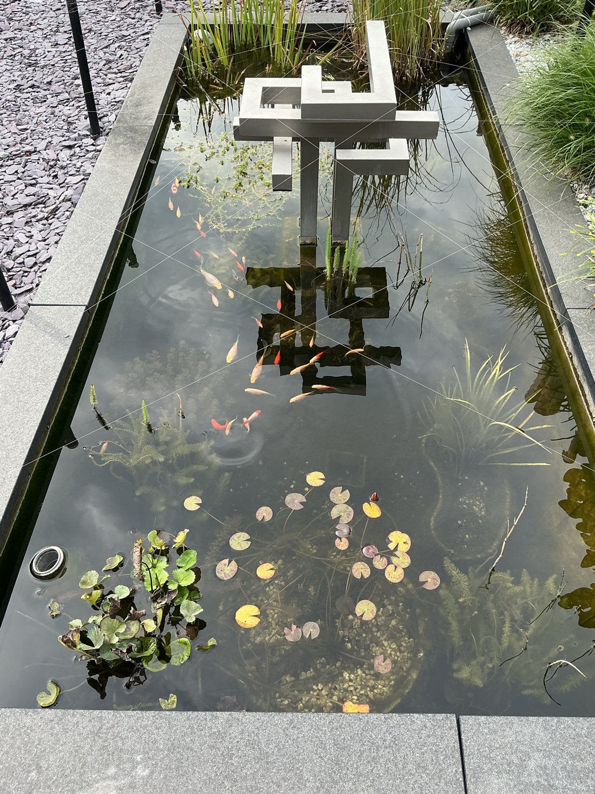 Moderne vijver met fontein, vissen en planten, Ophalen, Gebruikt