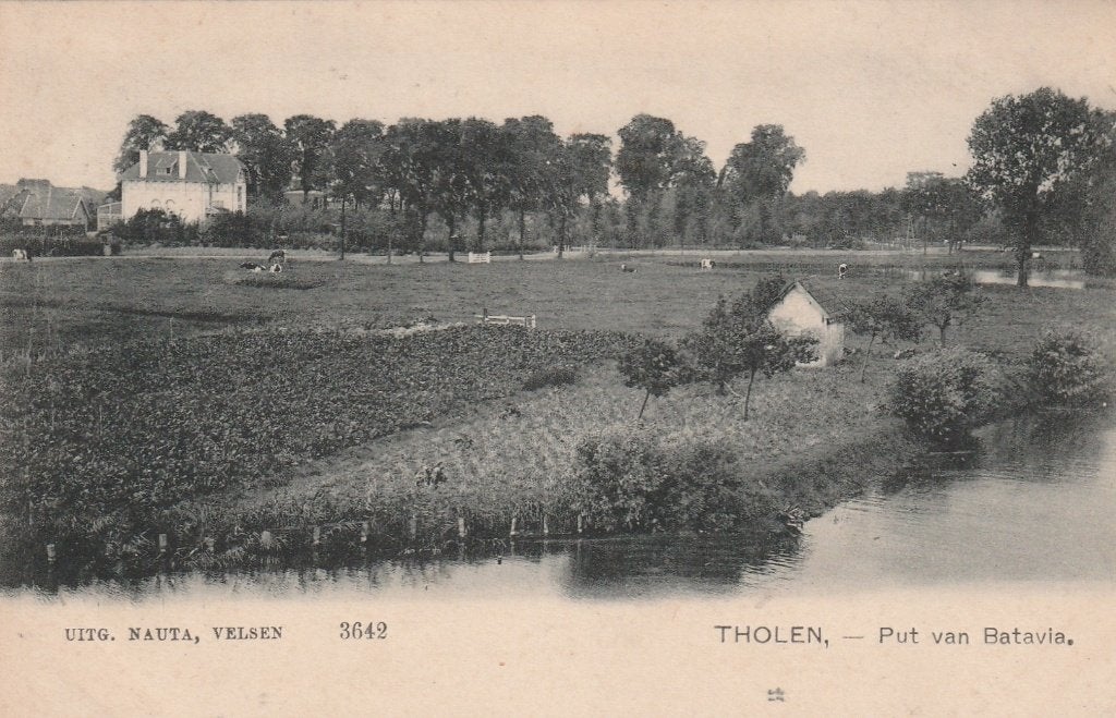 THOLEN Put van Batavia Nauta Kaart nr. 3642, Verzenden, Voor 1920, Ongelopen, Zeeland