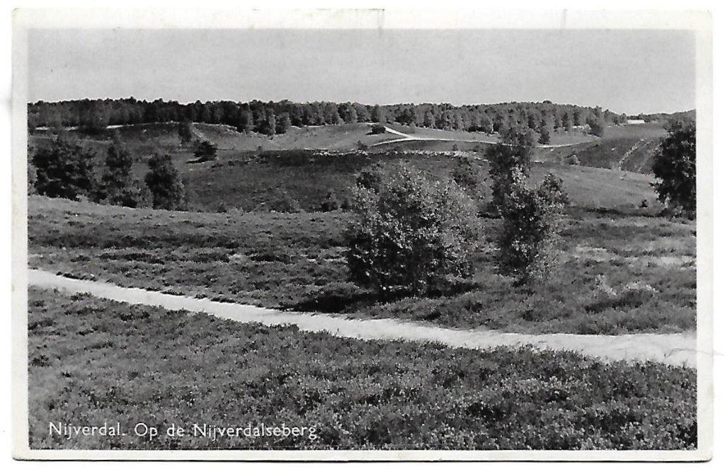 Nijverdal Nijverdalseberg Oude Gelopen Ansichtkaart (1497 ), Verzamelen, Ansichtkaarten | Nederland, Ophalen of Verzenden, Voor 1920