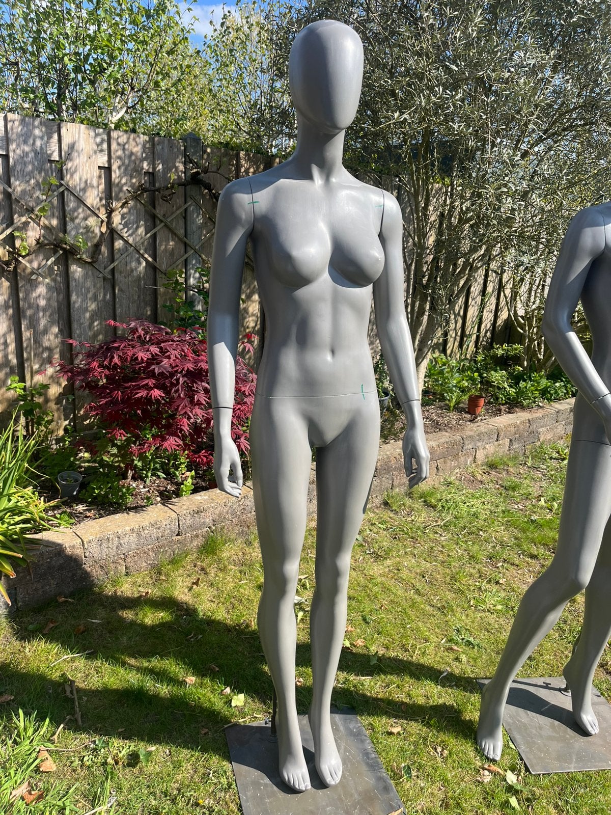 etalagepop/ paspop + extra torso dames, Ophalen, Gedragen