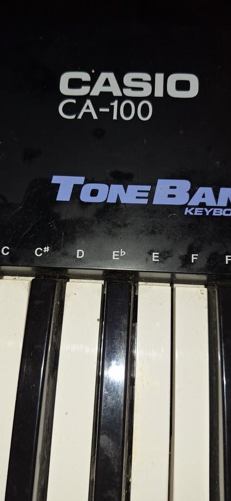 Casio CA-100 keyboard, Muziek en Instrumenten, Keyboards, Ophalen