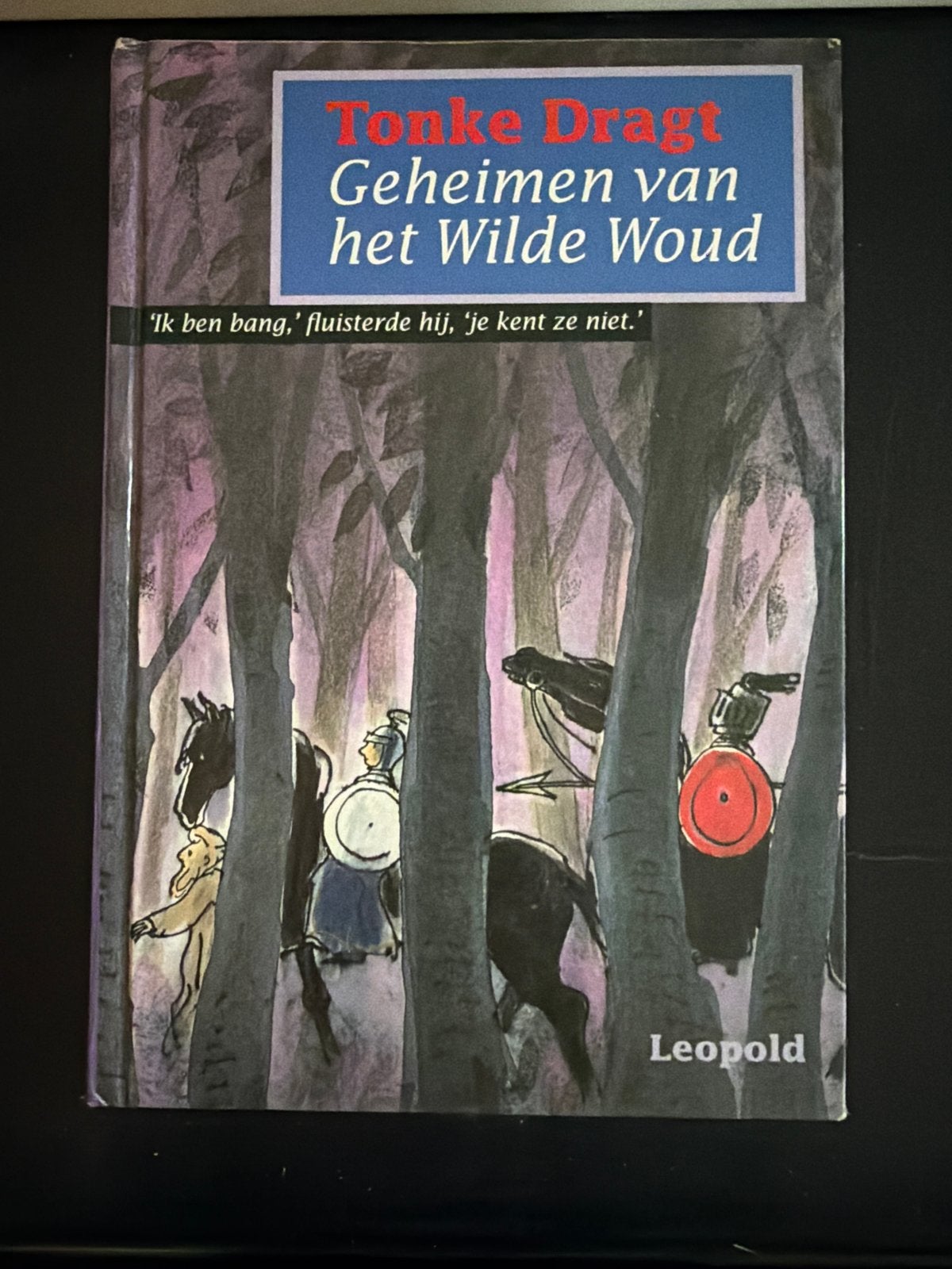 Tonke Dragt - Geheimen van het Wilde Woud (Hardcover), Ophalen of Verzenden, Zo goed als nieuw, Fictie