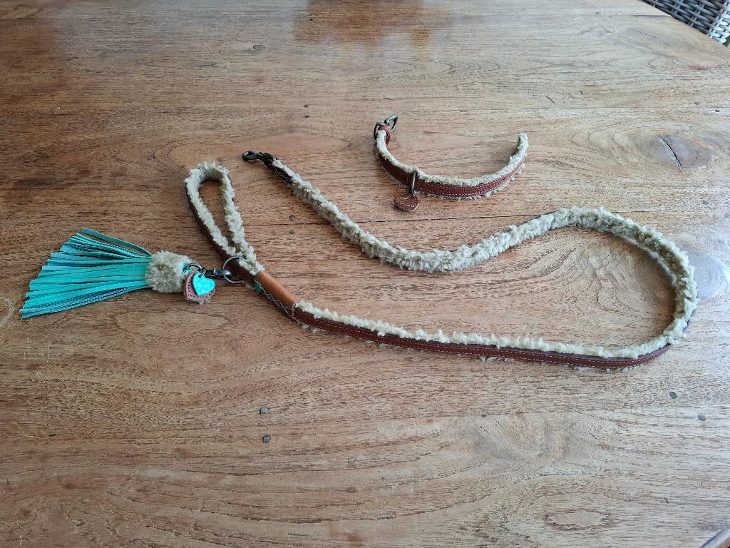 DWAM Teddy hondenriem & halsband, Ophalen of Verzenden, Zo goed als nieuw, Hondenriem