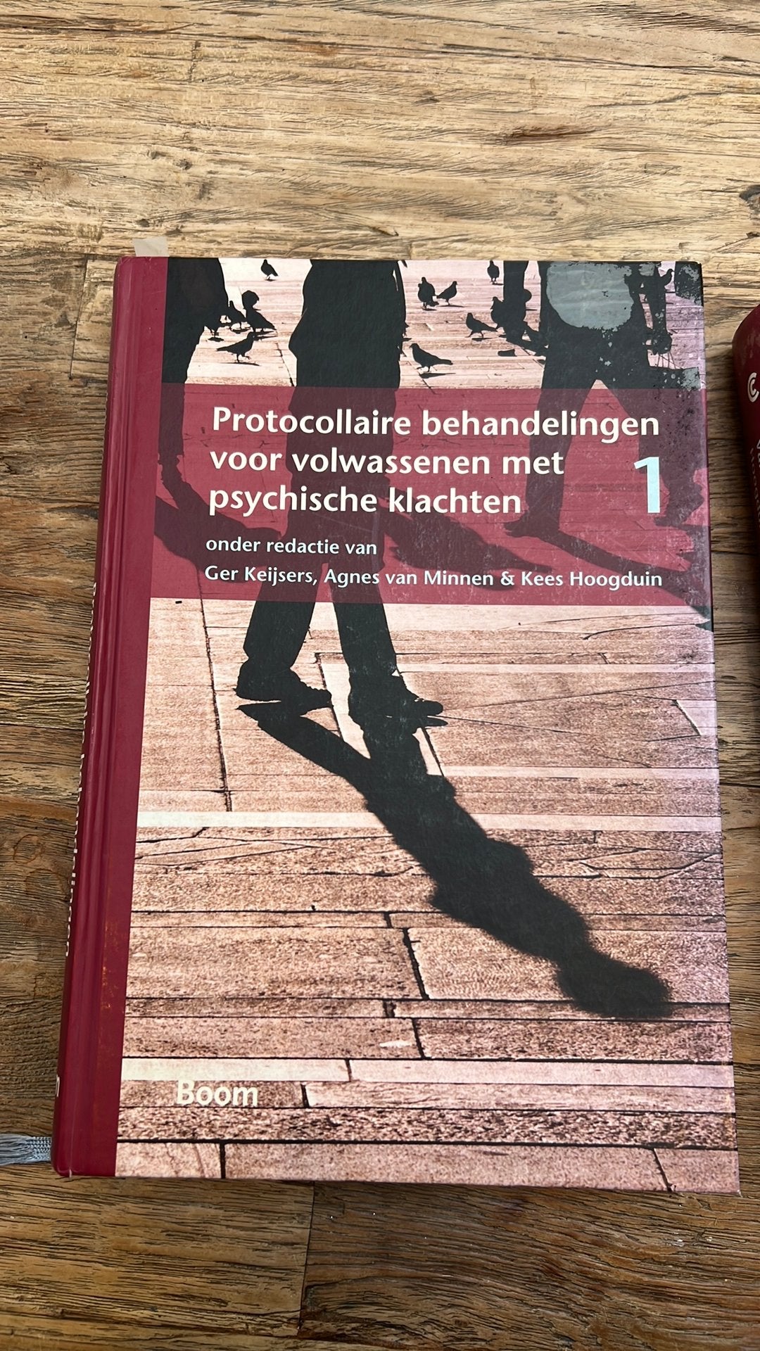 Protocollaire behandelingen volw psychische klachten ( 1), Ophalen of Verzenden, Beta, WO