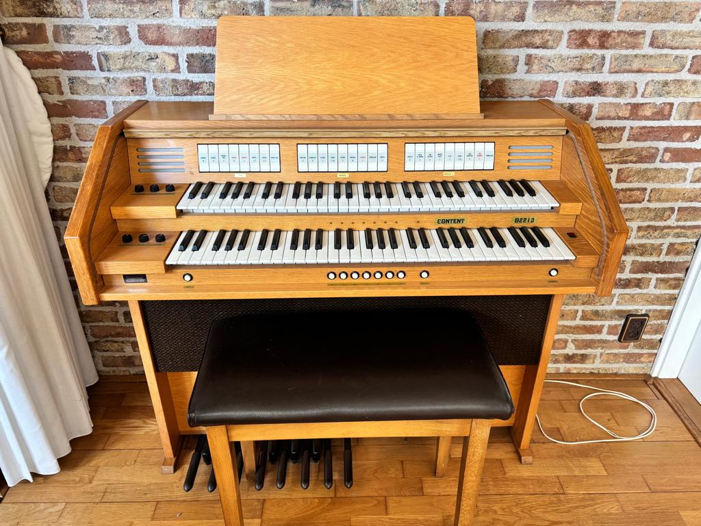 electronisch orgel. Content D2213, Muziek en Instrumenten, Ophalen, Gebruikt, 2 klavieren, Orgel