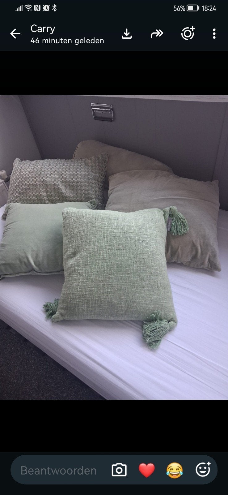 Set van  5 groene sierkussens met kwastjes, Huis en Inrichting, Woonaccessoires | Kussens, Overige merken, Inclusief binnenkussen