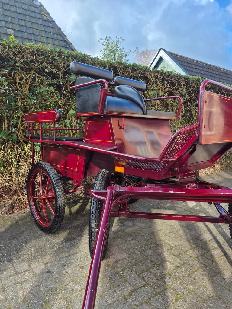Prachtige Jannes vd Wal wagen, Marathonwagen, Paard