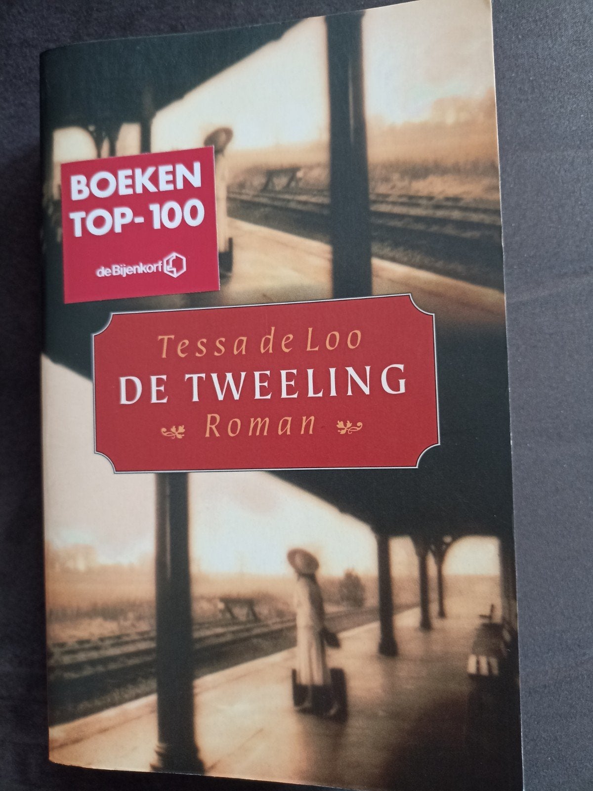 De Tweeling - Tessa de Loo (Roman), Ophalen of Verzenden, Zo goed als nieuw, Tessa de Loo, Nederland