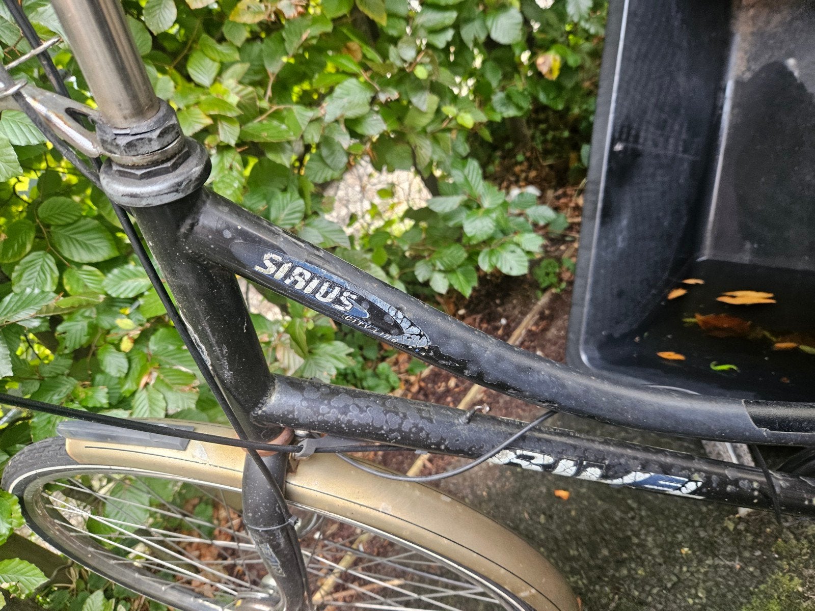 Rivel fiets met evt aanhang kar, Ophalen of Verzenden, Gebruikt, Overige merken, (Extra) lage instap