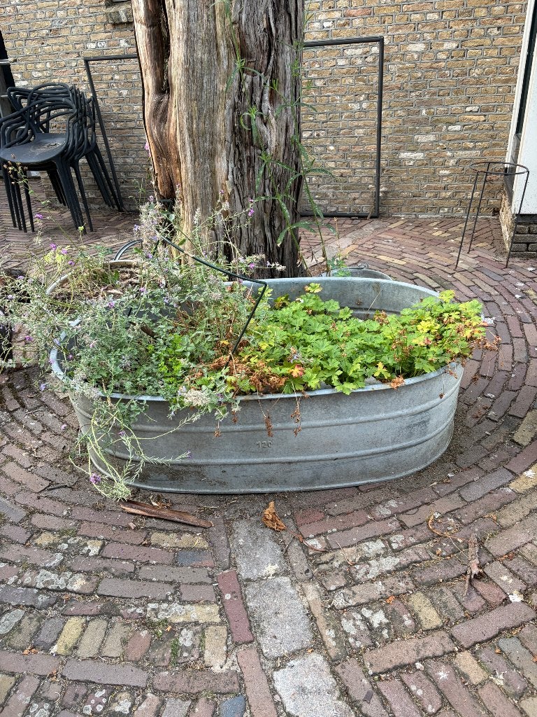 Mooie zinken teilen en gieters, Tuin en Terras, Ophalen, Gebruikt, Metaal, 60 cm of meer